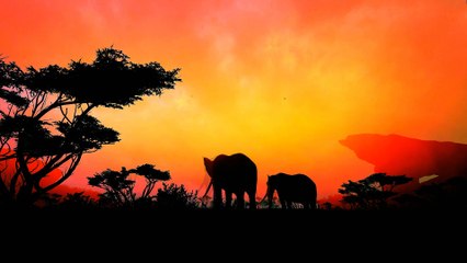 8D MuSic | Folk muSics | Royalty Free MuSic (3)