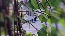 İstanbul'da kız meselesi yüzünden çıkan silahlı kavgada 1 kişi hayatını kaybetti