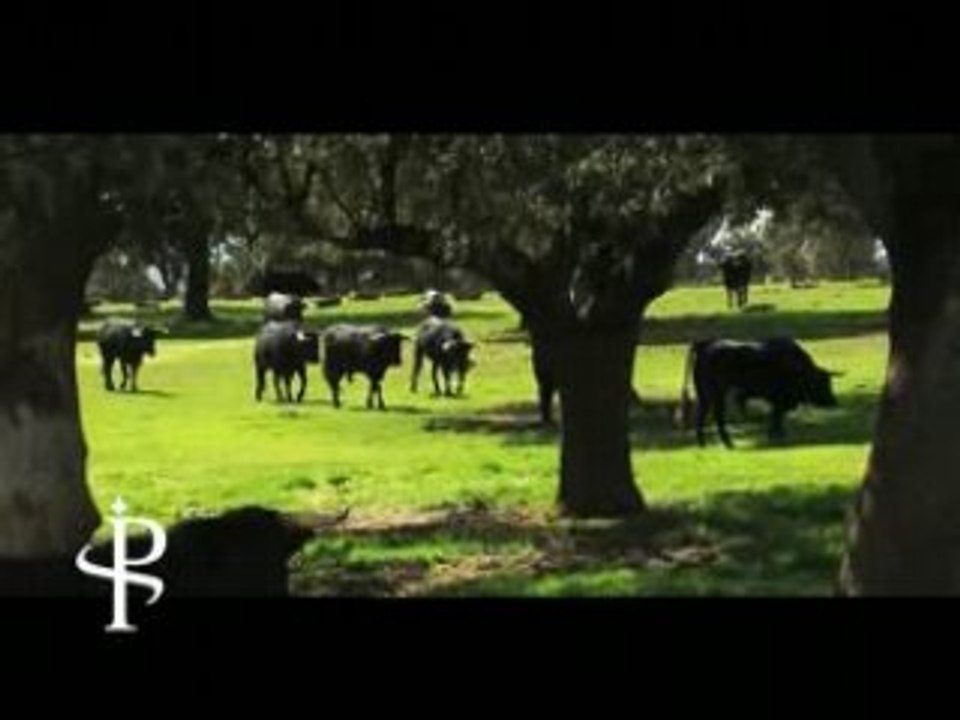Presentación Piel de Toro