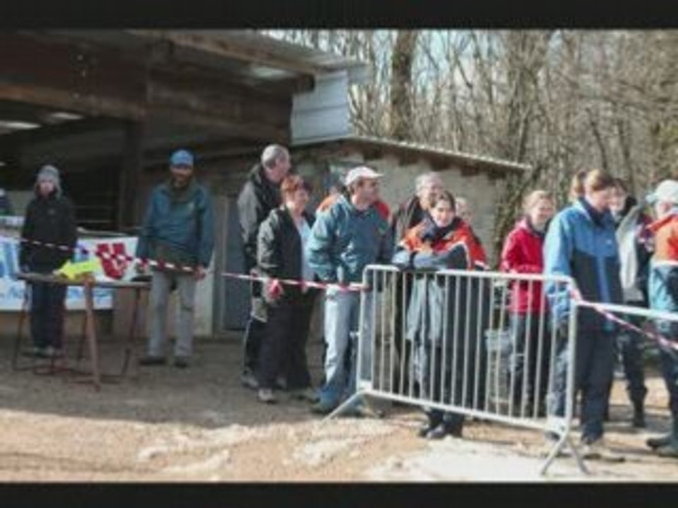 La montée des jonquilles 2008