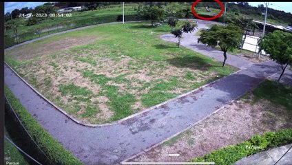 tn7-caida-avioneta-240623