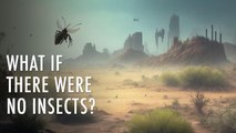 What Would Happen If All Insects Disappeared? | Unveiled