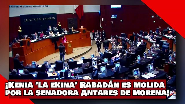 ¡VEAN! ¡Kenia ‘la ekina’ Rabadán es pulverizada por la senadora Antares de morena!