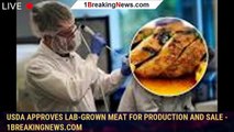 USDA approves lab-grown meat for production and sale - 1breakingnews.com