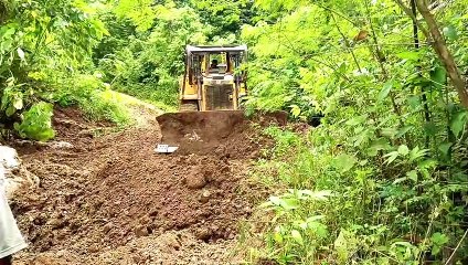 D6R XL Bulldozer Plantation Road Smoothing Work in the Afternoon