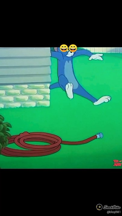 Tom and Jerry