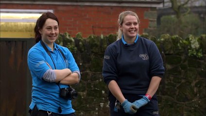 Baby Giraffe Learns How to Run   The Secret Life of the Zoo   Nature Bites