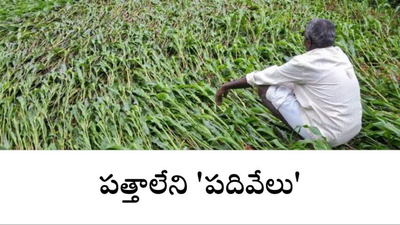 బోథ్: పంట నష్ట పరిహారం విధుల్లో జాప్యం