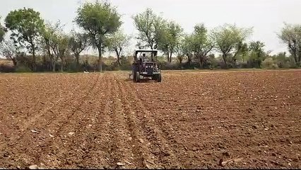 biperjoy cyclone effect: बिपरजॉय तूफान से राजस्थान के मारवाड़ में ऐसा हो रहा
