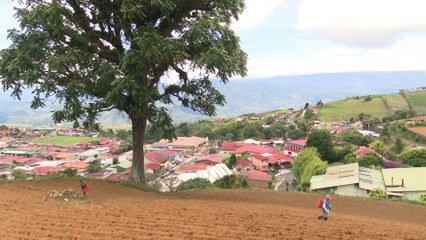 Alvarado de Cartago, un cantón con 115 años de historia