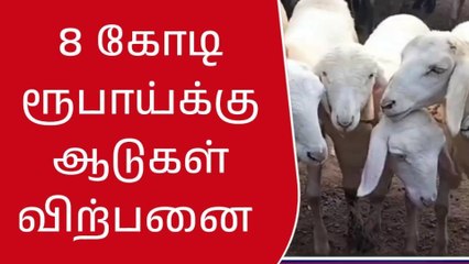கிருஷ்ணகிரி: பக்ரீத் பண்டிகை-ஆடுகள் விற்பனை இத்தனை கோடியா?