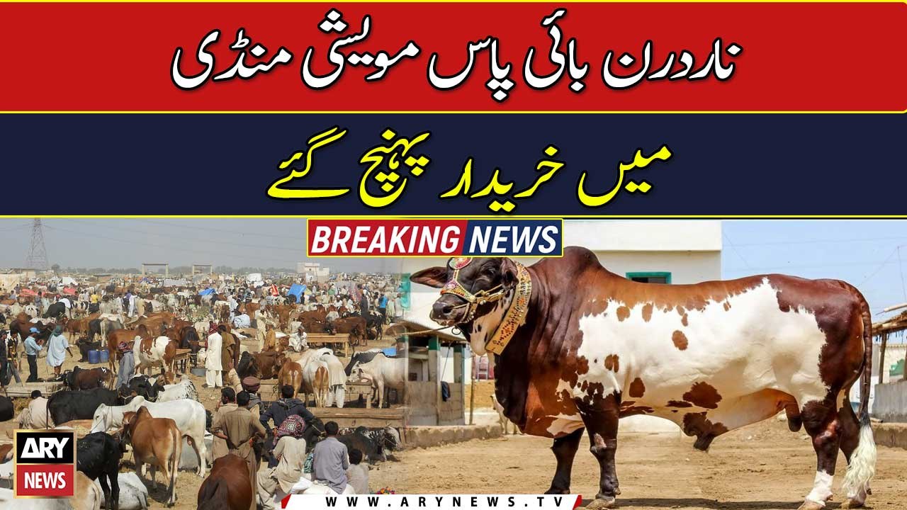 Buyers rush to Northern Bypass Cattle Market to buy sacrificial animals