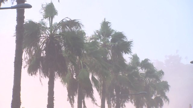 [날씨] '장마 시작' 제주·전남 호우 특보...모레까지 최고 500mm↑ / YTN