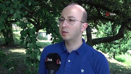 Fındıkta 'Drakula' ile mücadele bu yıl da sürüyor