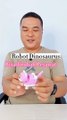 Mainan robot Dinosaurus - mainan robot dino berubah bentuk pesawat pink - mainan robot lucu