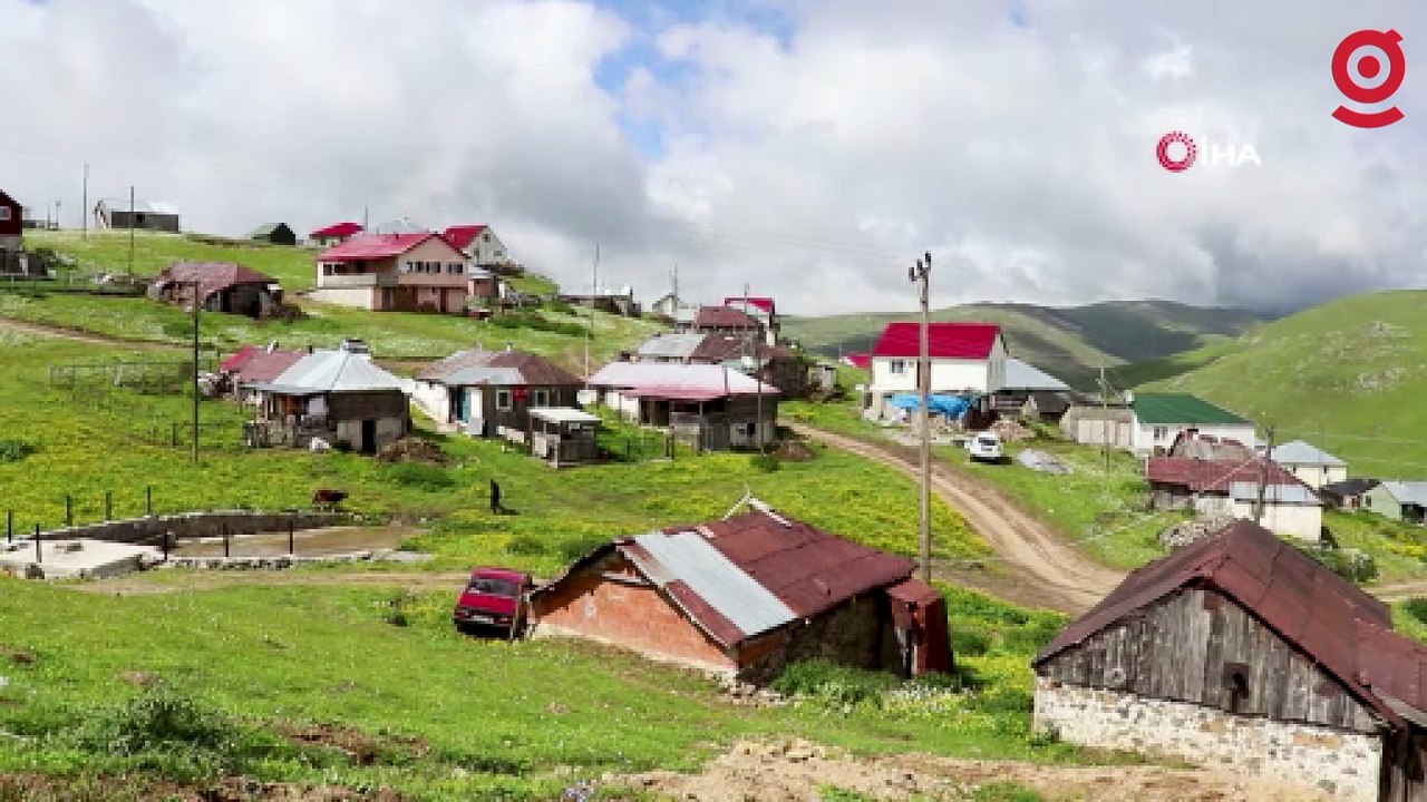 Gümüşhane’de ayı tehdidine Karadeniz usulü çözüm
