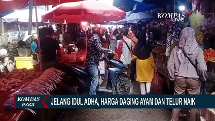 Pantauan Harga Ayam Potong dan Telur di Pasar Tradisional Jelang Iduladha
