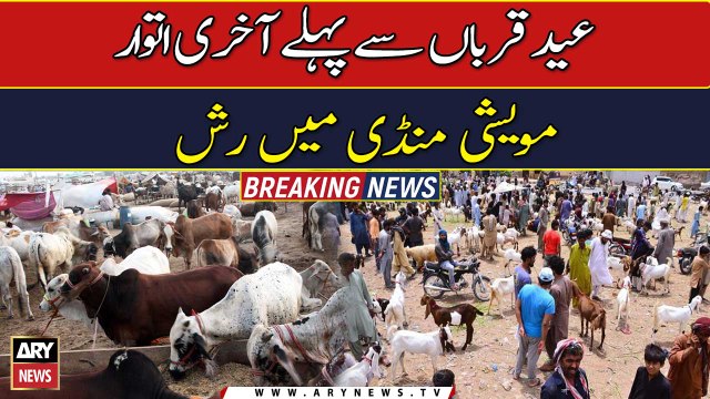 Cattle markets witness huge rush in Karachi