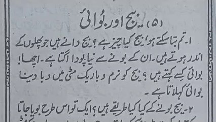 Beej aur bubai | Urdu javan ki teesri kitab sabak namber 53ks bhag namber 5 |