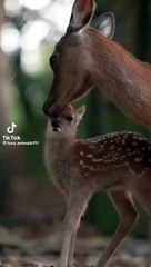 Muma dear loves baby dear