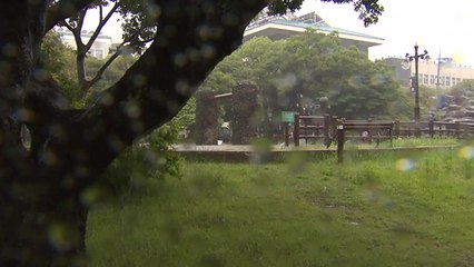 올해 장마 시작...'엘니뇨' 현상에 기상이변 우려 / YTN