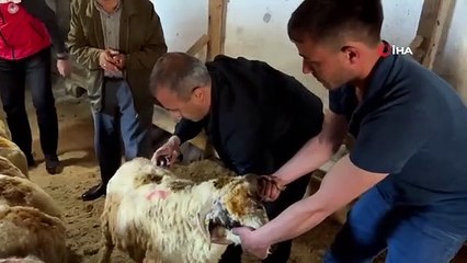 Vali Sonel, kurban bayramında yetim ve öksüzleri unutmadı