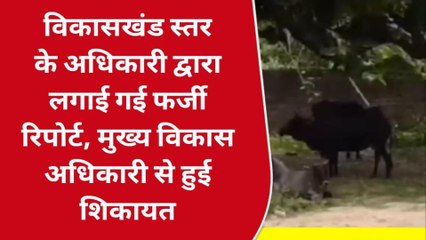 गोण्डा: फर्जी रिपोर्ट लगाने पर ग्रामीण ने सीडीओ से की शिकायत