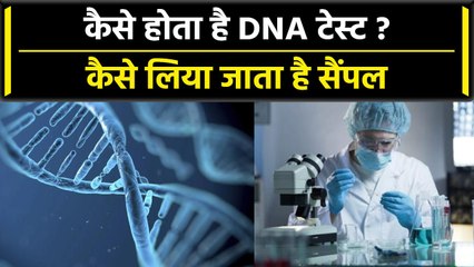 क्या होता है DNA Test, कब और क्यों ली जाती है इस Test की मदद | वनइंडिया प्लस