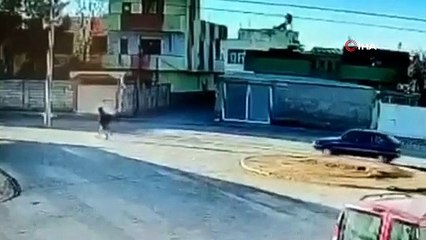 Şanlıurfa'da bir garip kaza: Otomobil, yol ortasındaki direğe böyle çarptı