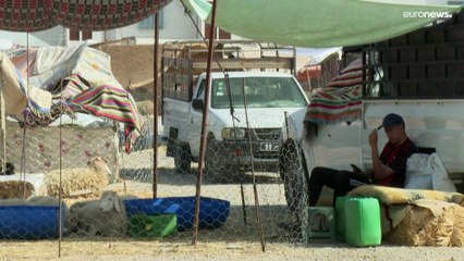 التمسك بتقاليد عيد الأضحى يتحدى غلاء الأسعار في تونس