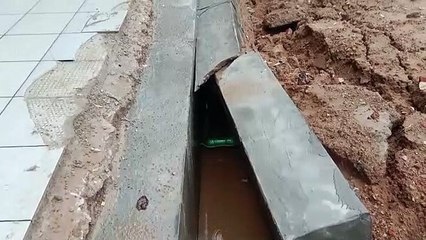 दौसा. जयपुर-हिसार पैसेंजर ट्रेन के नीचे आया नंदी, जयपुर दिल्ली रेलमार्ग रहा बाधित