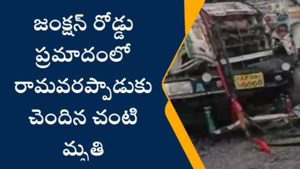 కృష్ణా జిల్లా: రోడ్డు ప్రమాదం... వ్యక్తి మృతి