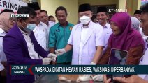 Kasus Penularan Rabies Masih Tinggi, Dinkes Bengkulu Gencarkan Vaksinasi Hewan Peliharaan!