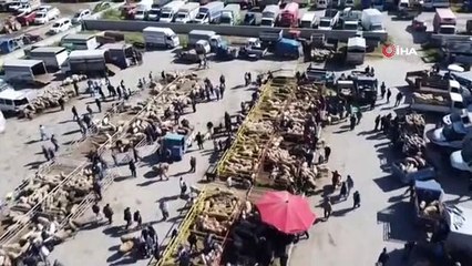 Şuhut kurban pazarında hareketlilik başladı