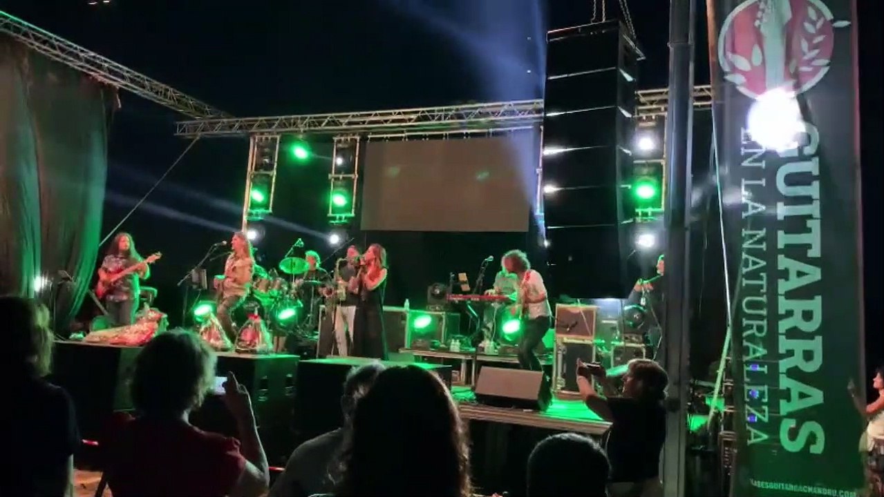 Guitarras