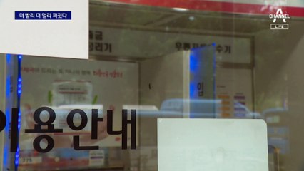 더 빨리, 더 멀리 퍼진 ‘러브버그’…분무기로 물 뿌려 쫓을 수 있어