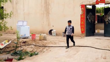 Chine, des arbres contre le désert !