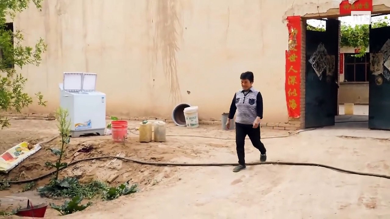 Chine, des arbres contre le désert !