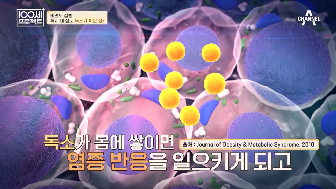 식이요법과 운동을 해도 빠지지 않는 살, '독소' 때문? 100세 주치의가 말하는 독...