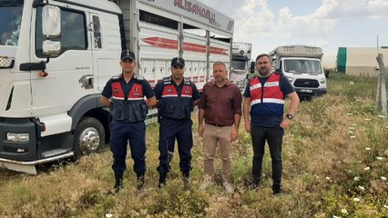 3,5 milyonluk büyükbaş vurgunu engellendi