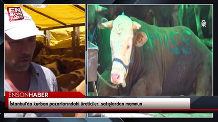 İstanbul'da kurban pazarlarındaki üreticiler, satışlardan memnun