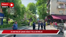 Üsküdar’da 20 metrelik çınar ağacı yola devrildi