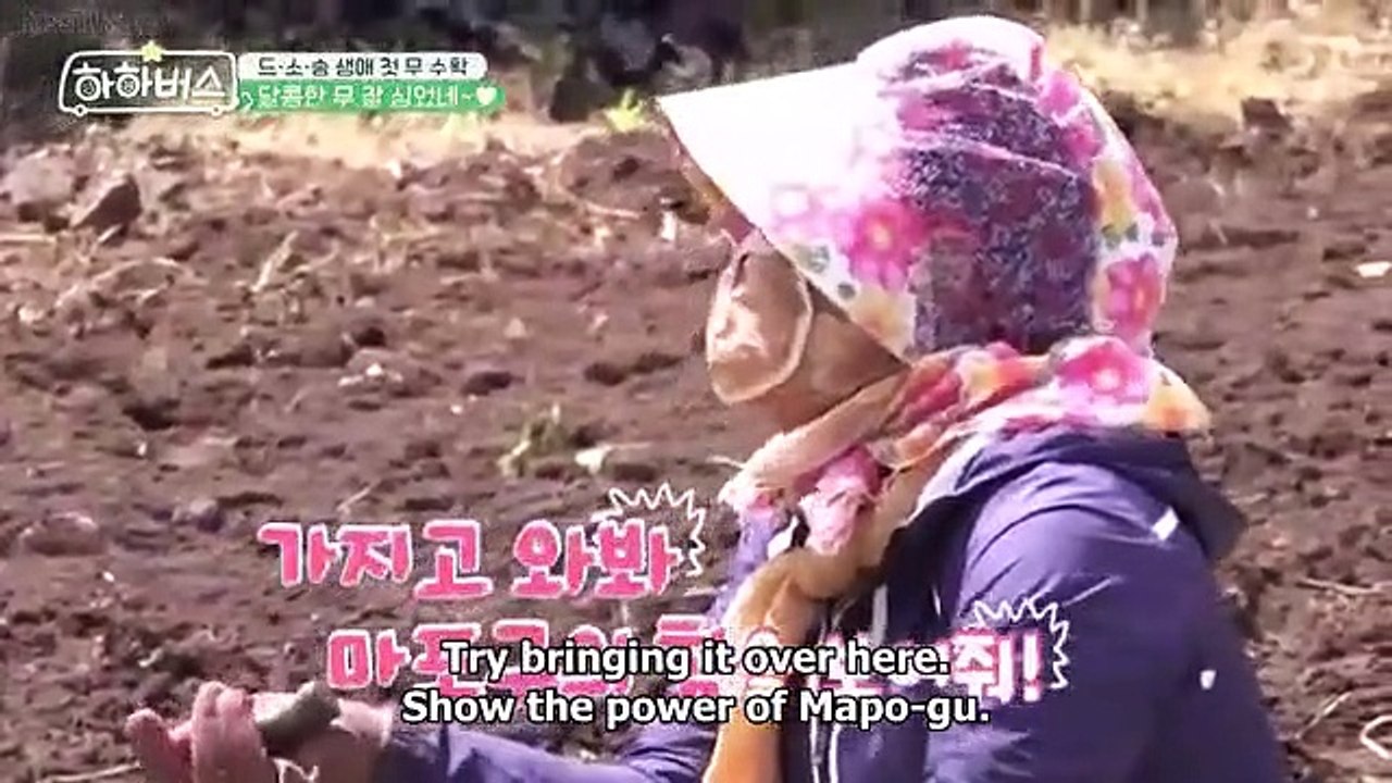 Ha Ha Bus (2023) Ep 12 (EngSub) part 1/1 part 1/1