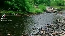 Touch Grass!!! #river #gaming #nature #beautiful #love
