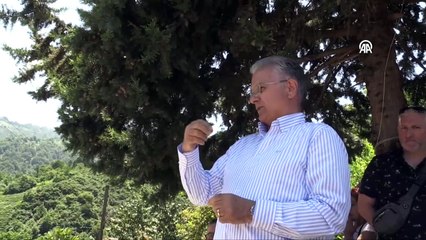 Kazım Koyuncu mezarı başında şarkılarıyla anıldı