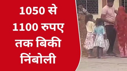 झाबुआ: कृषि उपज मंडी में फसल की बम्पर आवक हुई, जानें नया भाव