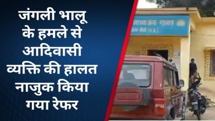 धोहानी: जंगली भालू ने 35 वर्षीय आदिवासी पर किया हमला