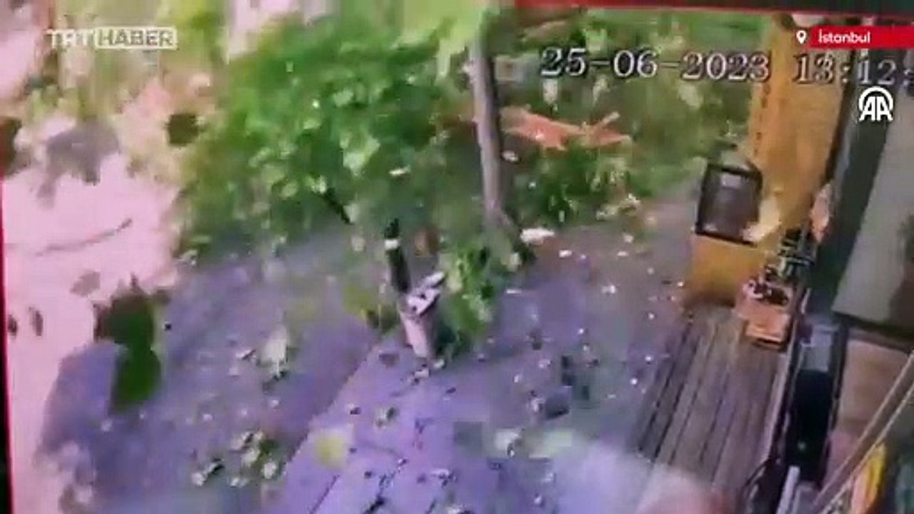 İstanbul'da 20 metrelik çınar ağacı yola devrildi, cadde trafiğe kapandı