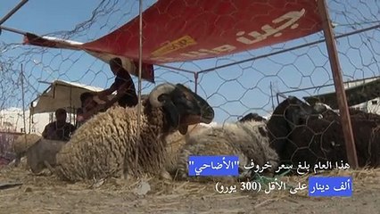 تدهور القوة الشرائية ينغّص فرحة التونسيين بعيد الأضحى
