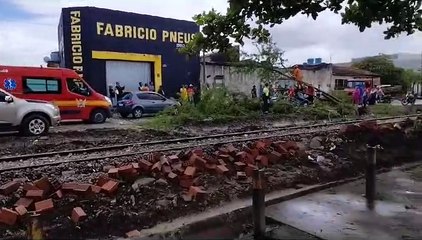 Árvore cai e atinge carro em movimento em Arapiraca